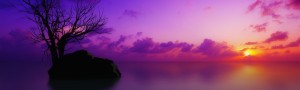 tranquil peace calm scene mindful image