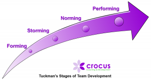Tuckmans Stages of Team Development formation