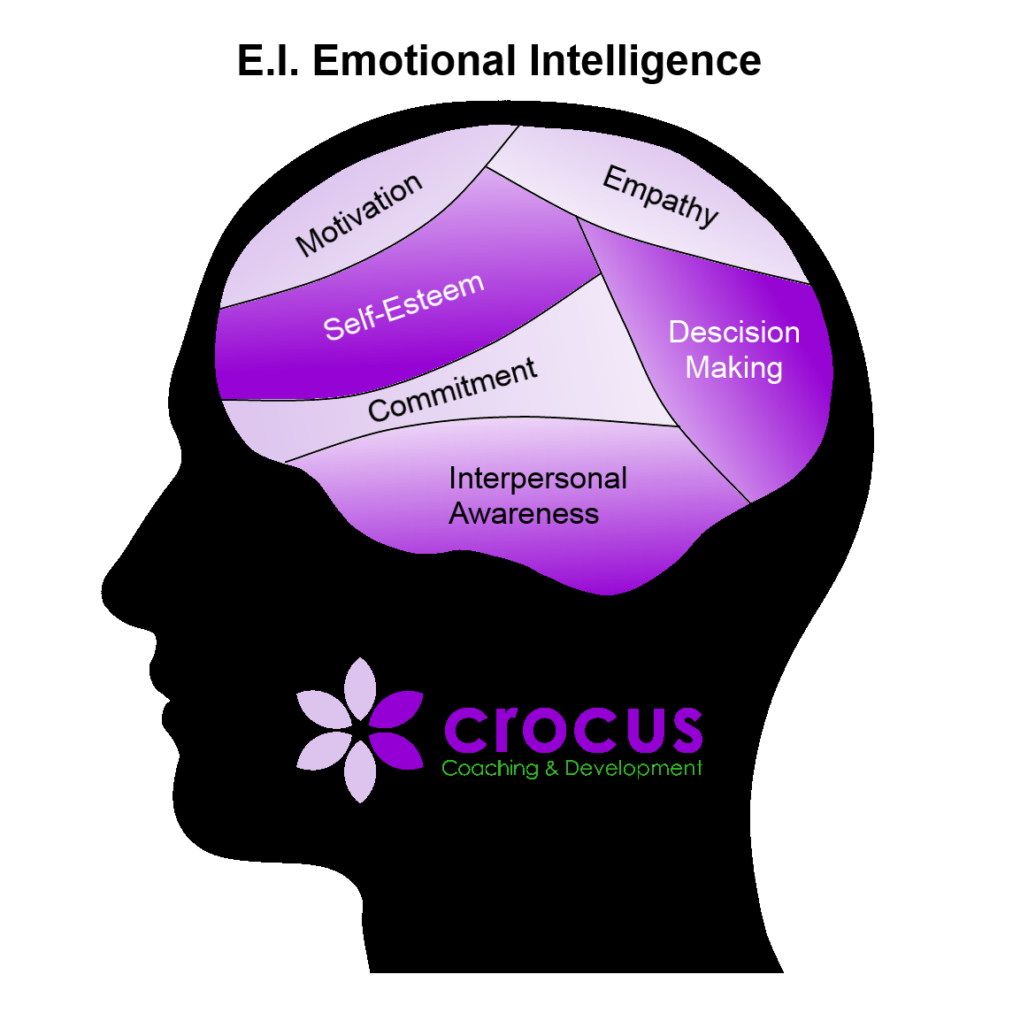 Emotional Intelligence EI Diagram